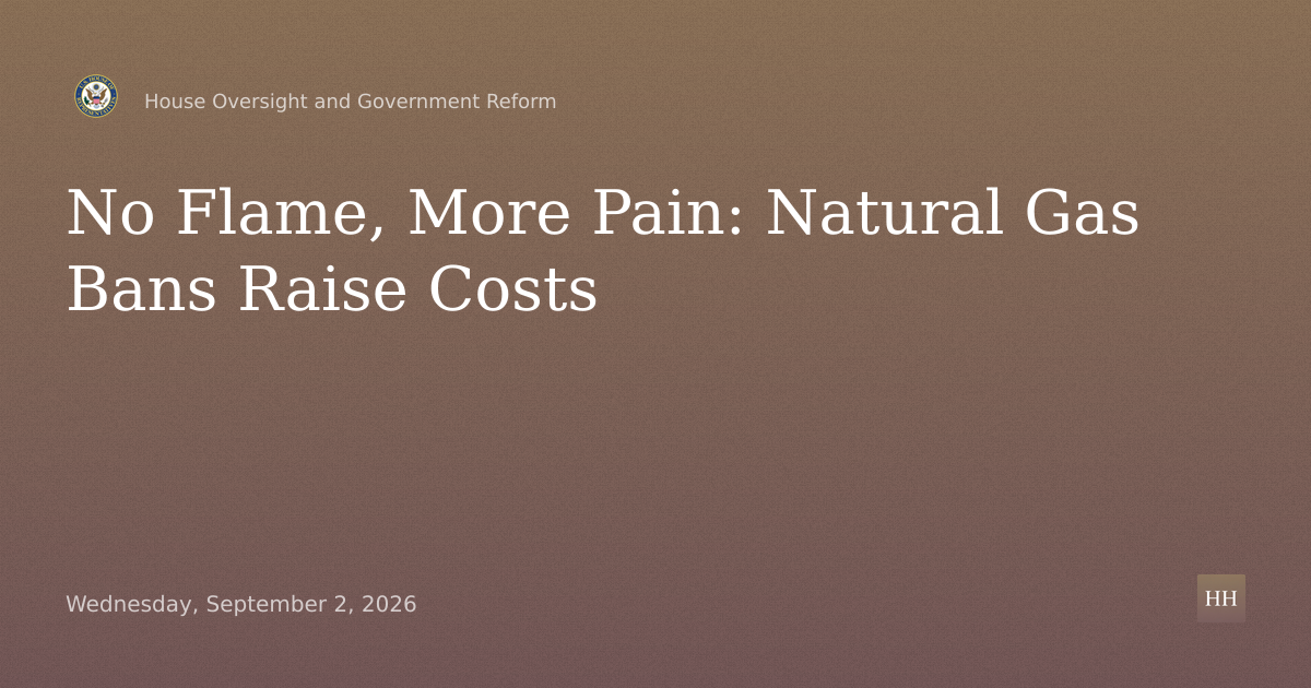 No Flame, More Pain: How State and Local Bans on Natural Gas Increase Costs
