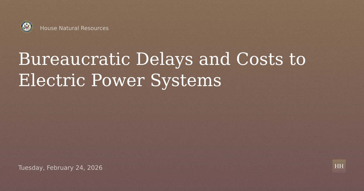 “Bureaucratic Delays and the Costs to Ratepayers and Electric Power Systems.”